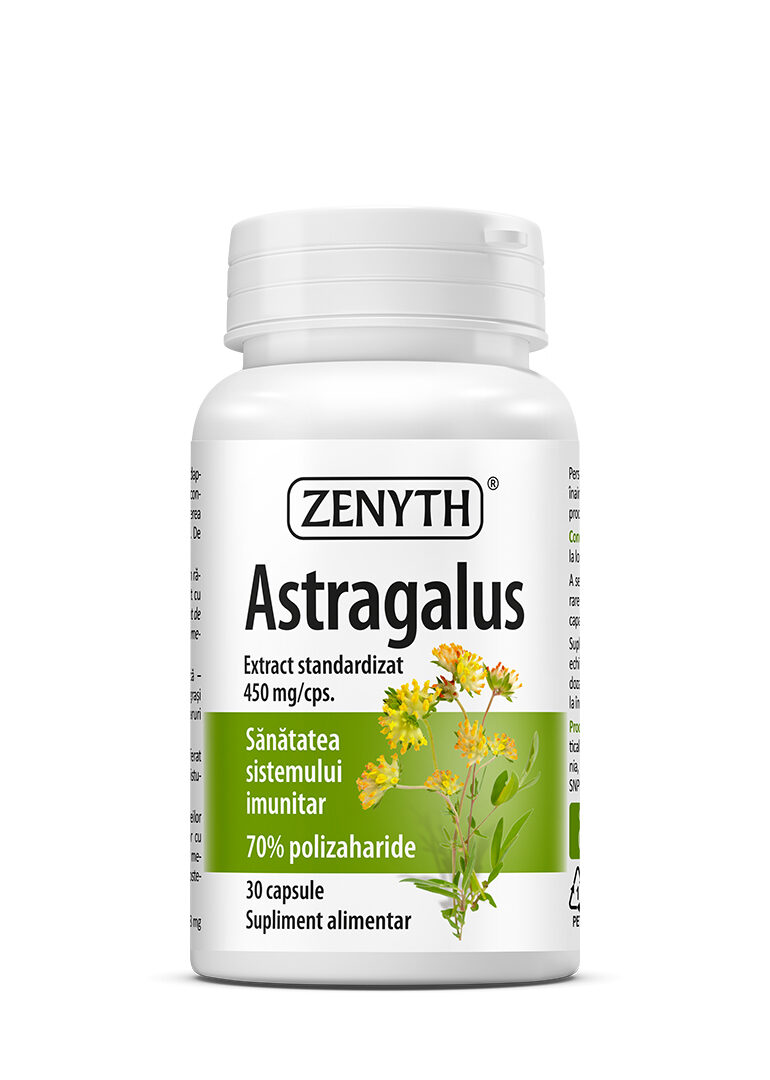 Astragalus 450 mg (30 capsule)