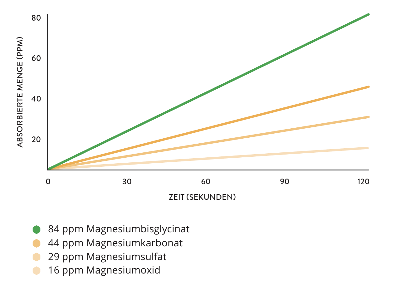 Grafic – comparația absorbției diferitelor forme de magneziu