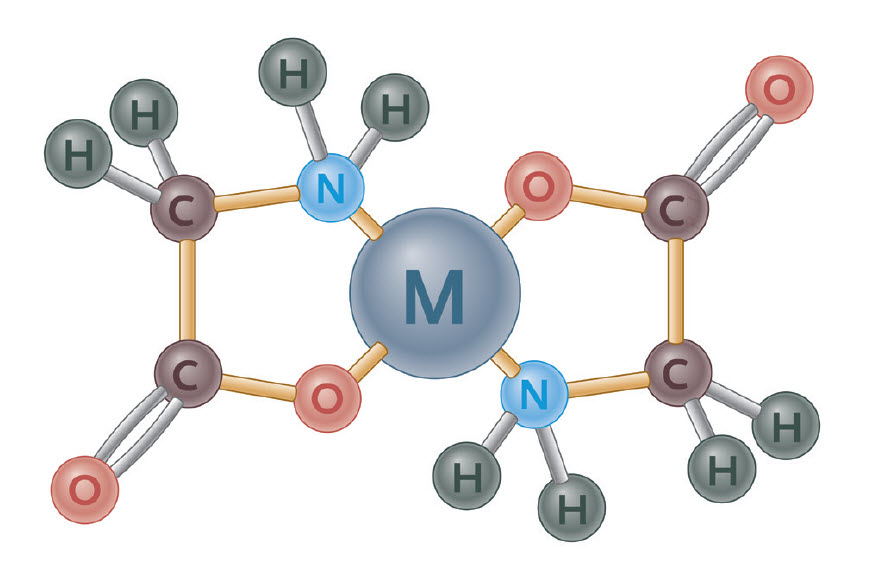Structura moleculară a unui chelat de aminoacid – magnesium bisglycinat