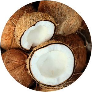 ULEI DE COCOS