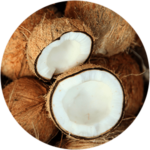 APĂ DE NUCĂ DE COCOS