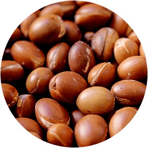 ULEI DE ARGAN