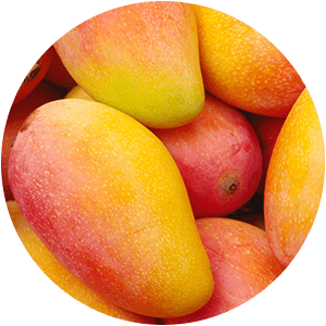 ULEI DE MANGO