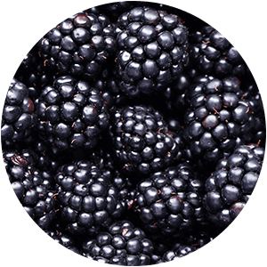 EXTRACT DE MURE